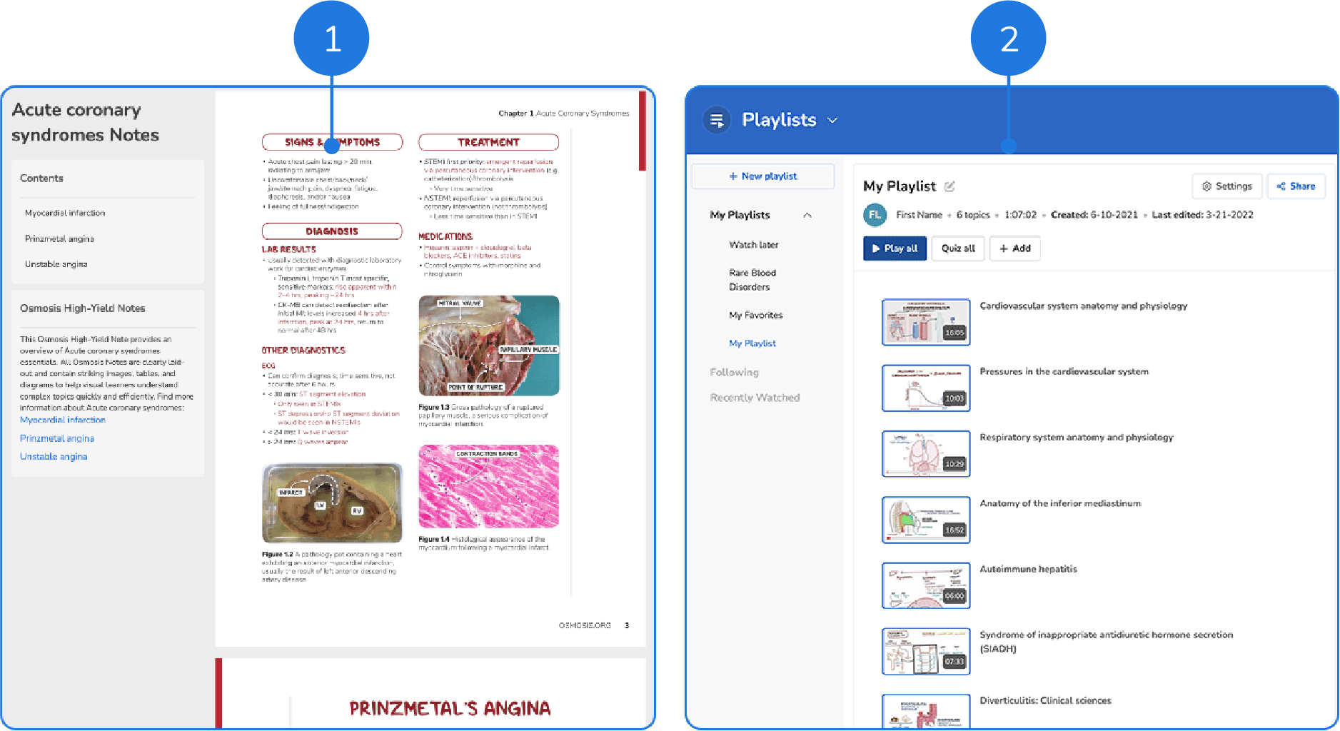illustrated-video-explainers-for-teaching-nurse-practitioner-students