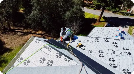 Roof Replacement