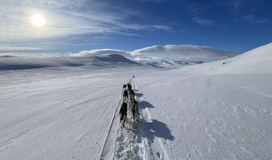 Gaustatoppen på ski