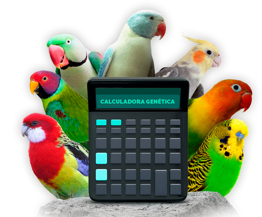 Galp O Das Aves Calculadora Gen Tica