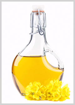 Canola Oil - Dream Roper