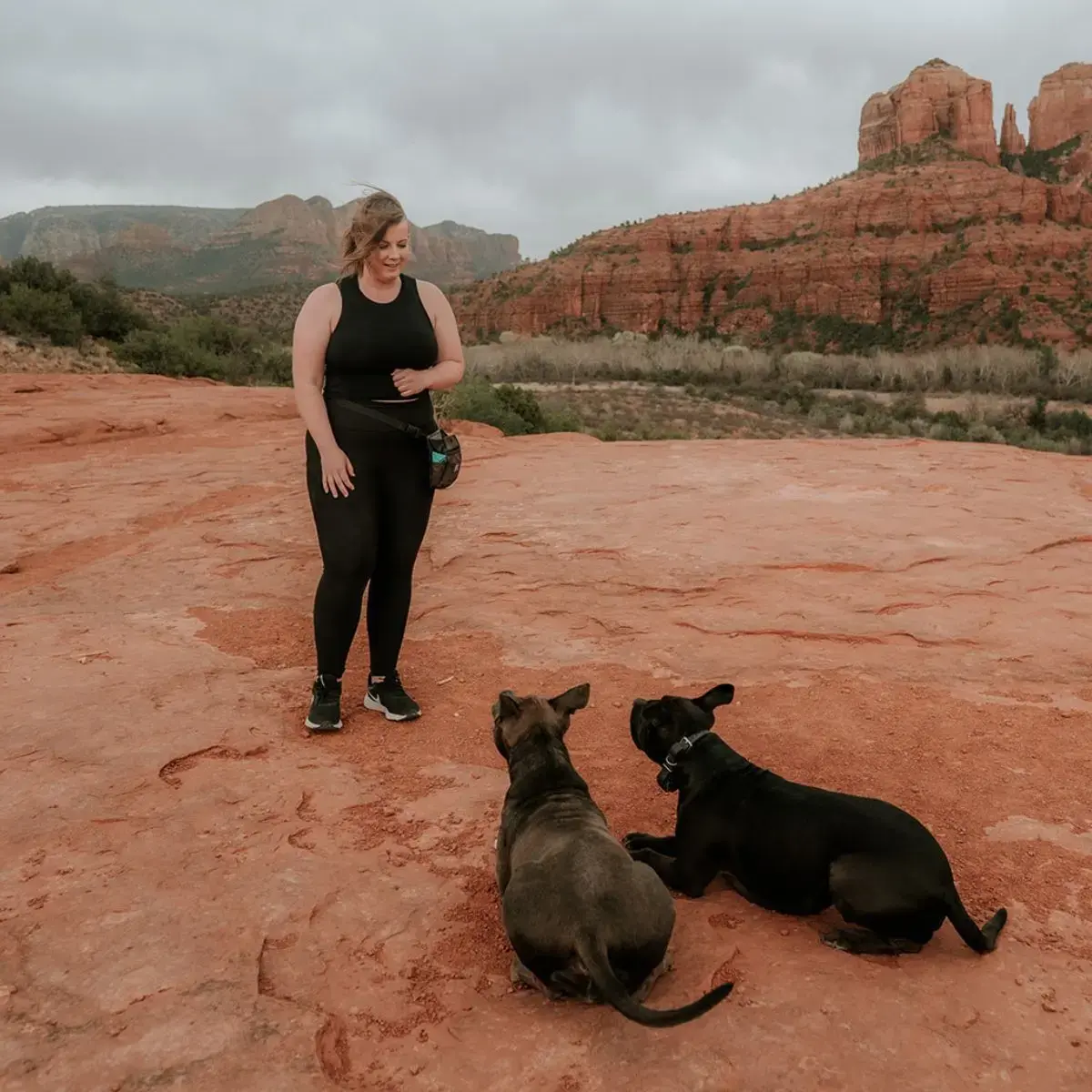 Walk Away with a Clear Action Plan - two trained dogs looking up
