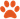 Paw Print Icon