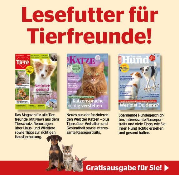 Ein Herz für Tiere