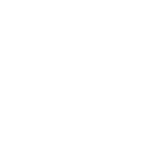 Experience Icon