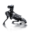 Robot chien