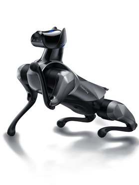 Robot chien