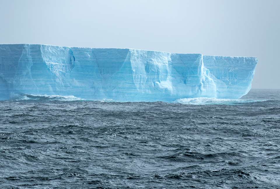 Giants of Antarctica Expedition