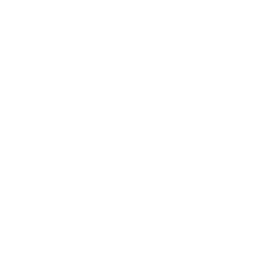 Experienced Craftsmanship Icon