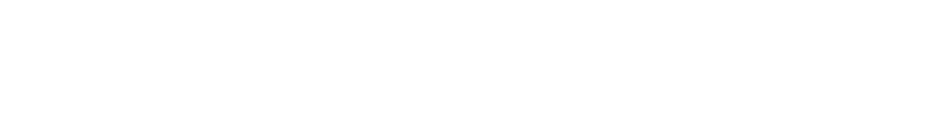OneStream