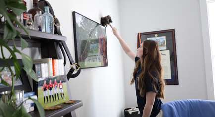 Maid Right Professional Dusting Painting