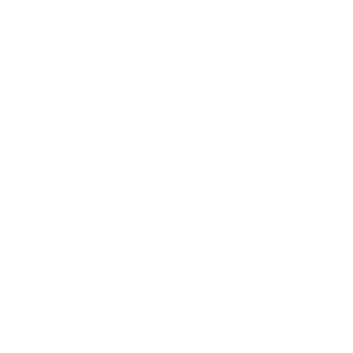 Logotipo de Partner Bonitasoft