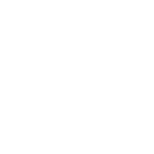 Professional Cleaning
