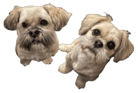 Ralph & Rupert