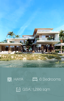 Haya