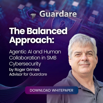 The Balanced Approach: Agentic AI and Human Collaboration in SMB ...
