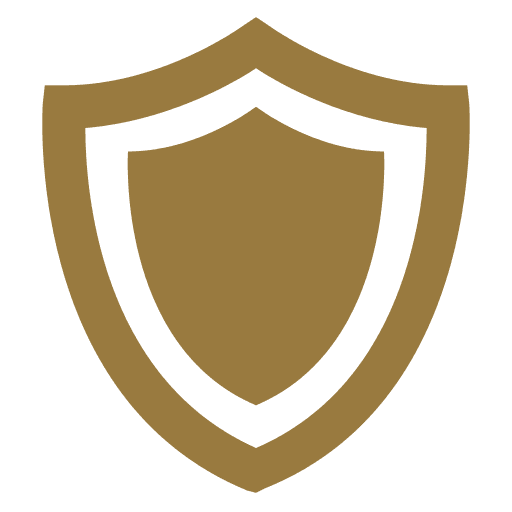 Shield Risk Strategy Icon