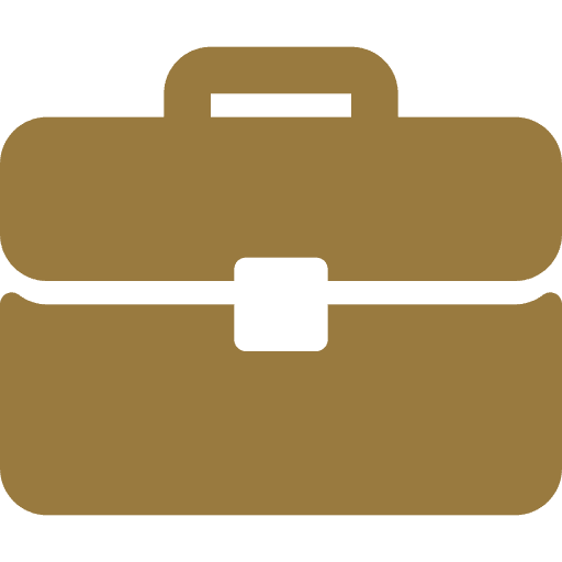 Business Strategies Briefcase Icon