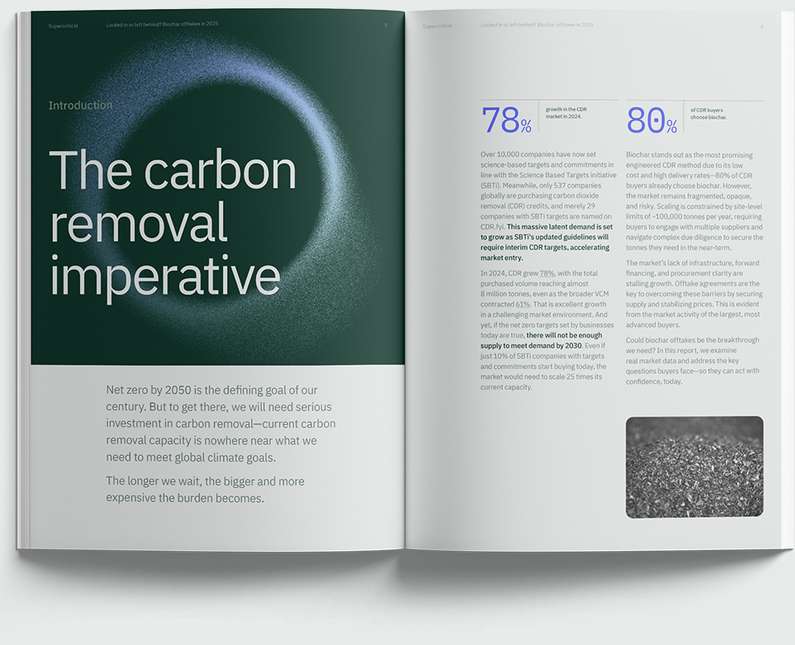 Locked in or left behind? 2025 Biochar Offtake Report