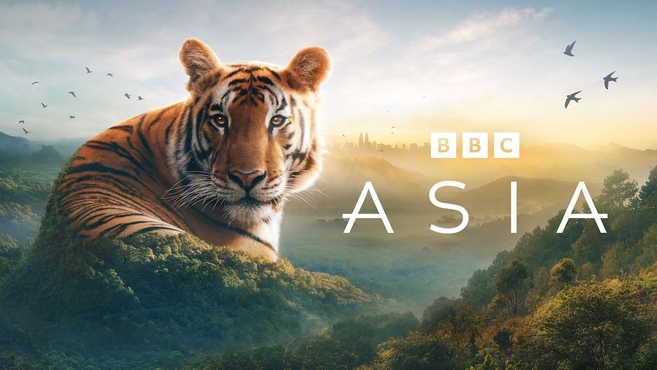 Watch Award-Winning Shows & Movies | AMC+