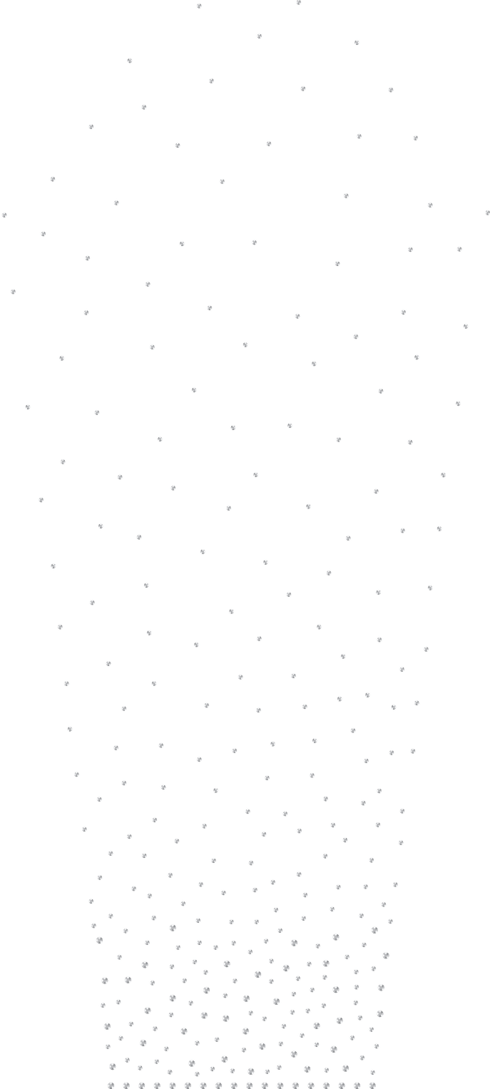 Gymnastics Practice Leotards Champion Teamwear