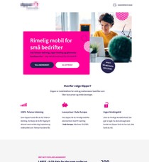 landing page example 3