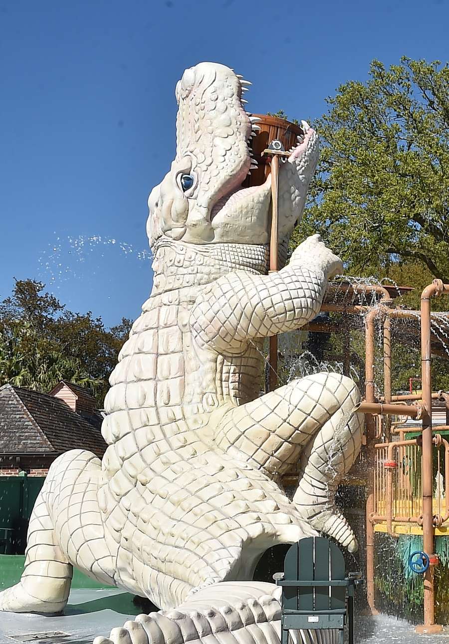 Cool Zoo at Audubon Zoo | New Orleans’ Only Water Park