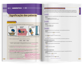 Minigramática Paschoalin & Spadoto - Edição Renovada | Teoria E Exercícios