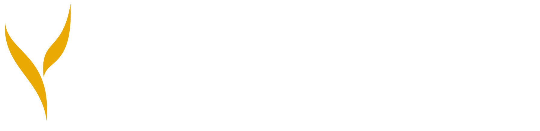 Ochsner Performance Training Logo