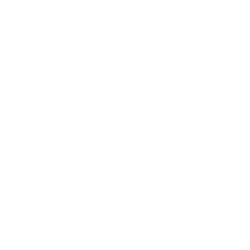 Experienced Team And Network