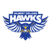Hilbert Hawks Logo
