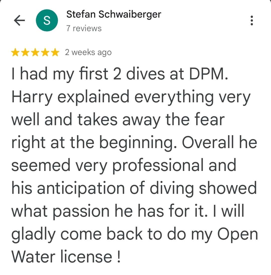 Google review