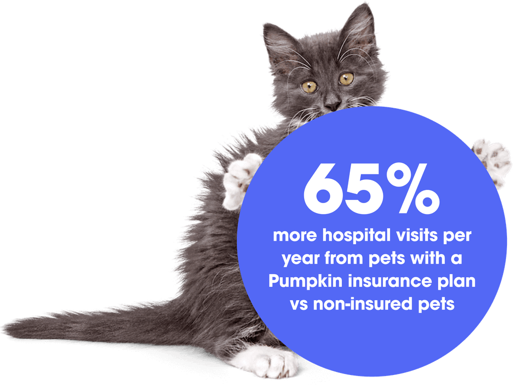 Pumpkin for Veterinarians Healthier pets. Stronger practices.