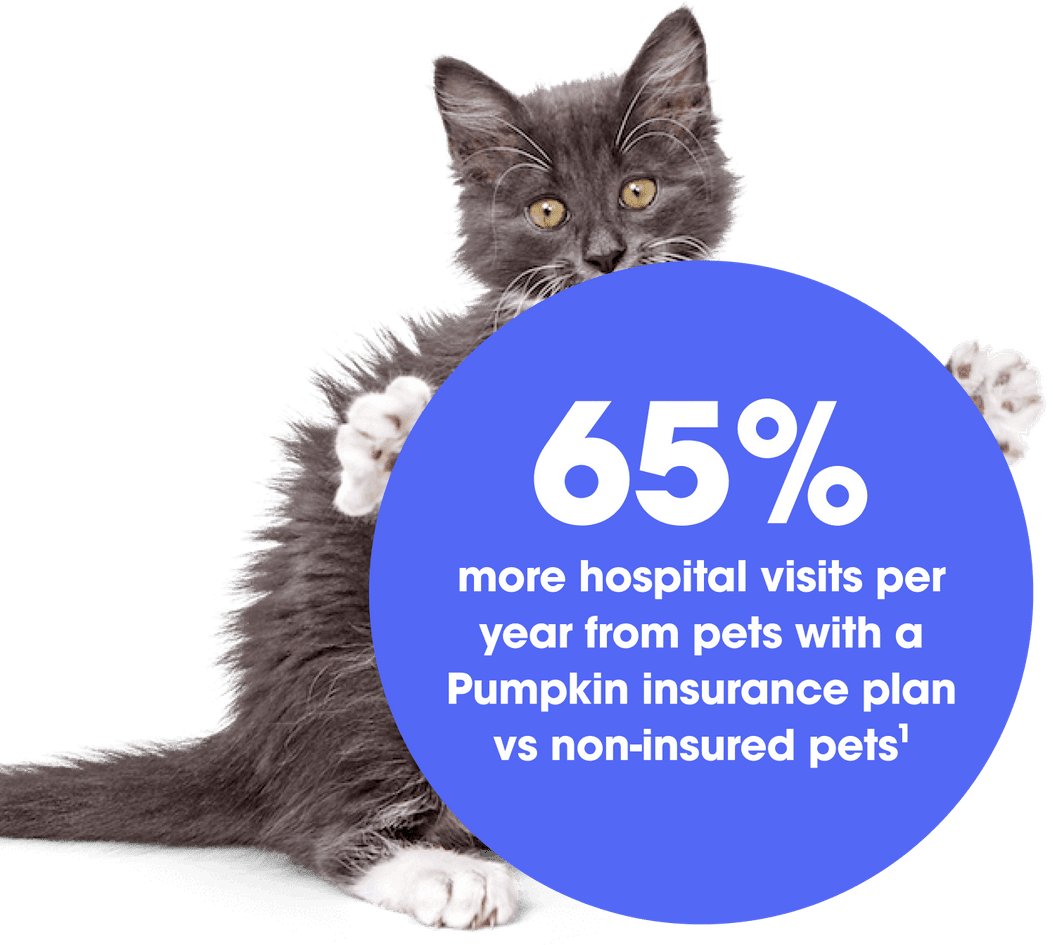 Pumpkin for Veterinarians Healthier pets. Stronger practices.