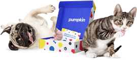 Pumpkin for Veterinarians: Healthier pets. Stronger practices.