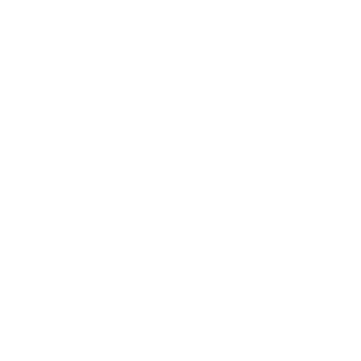 Professional Team