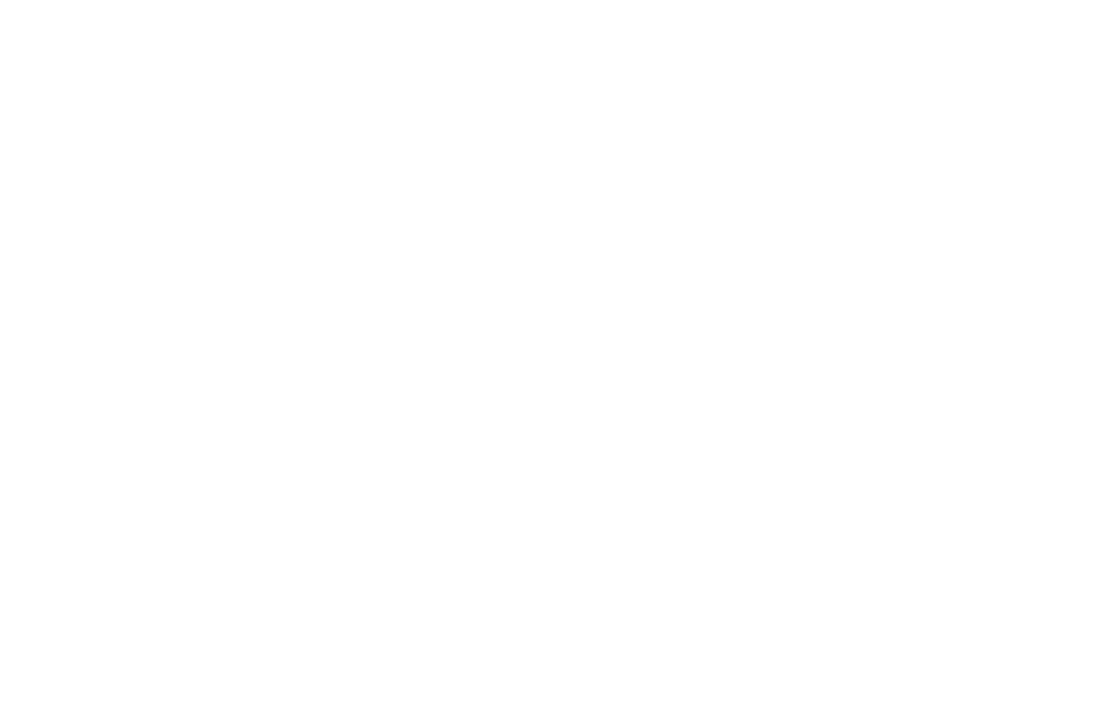 echo commerce collective