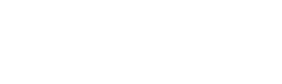 Shopify plus partner