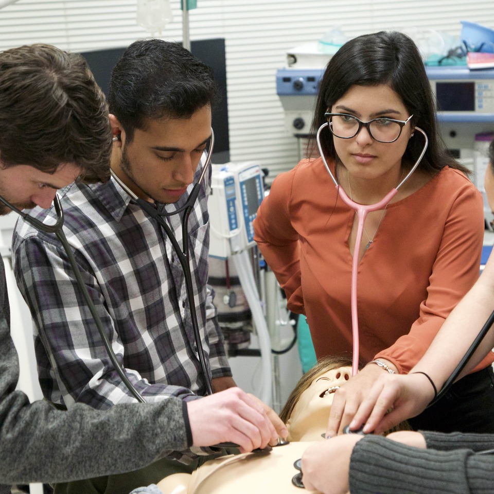 Northeastern University, Bouvé College Of Health Sciences