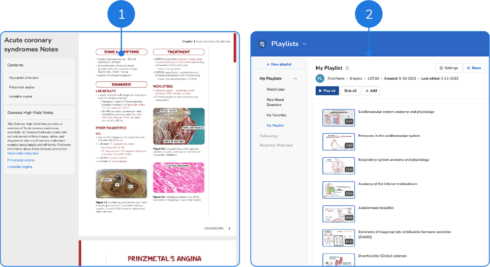 Medical Illustrated Video Explainers For Teaching Students | Osmosis