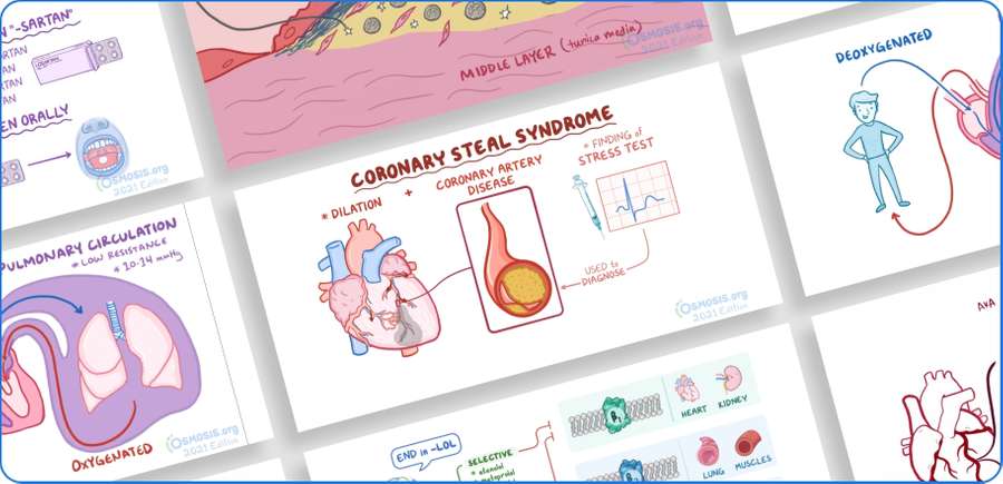 Illustrated Video Explainers For Teaching Nurse Practitioner Students ...