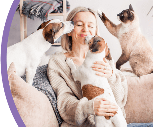 Pet Insurance Comparison at a Glance