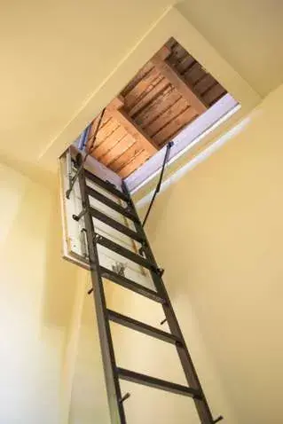 Attic access ladder