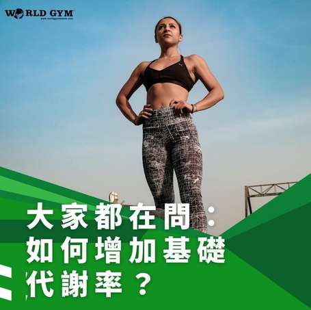 提高基礎代謝率