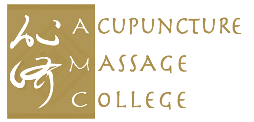 Formación Profesional En Terapia De Masajes Acupuncture And Massage College Miami Fl