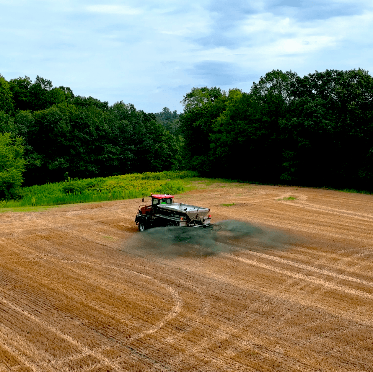 Lithos Basalt Carbon Capture Enhanced Weathering Lime Alternative