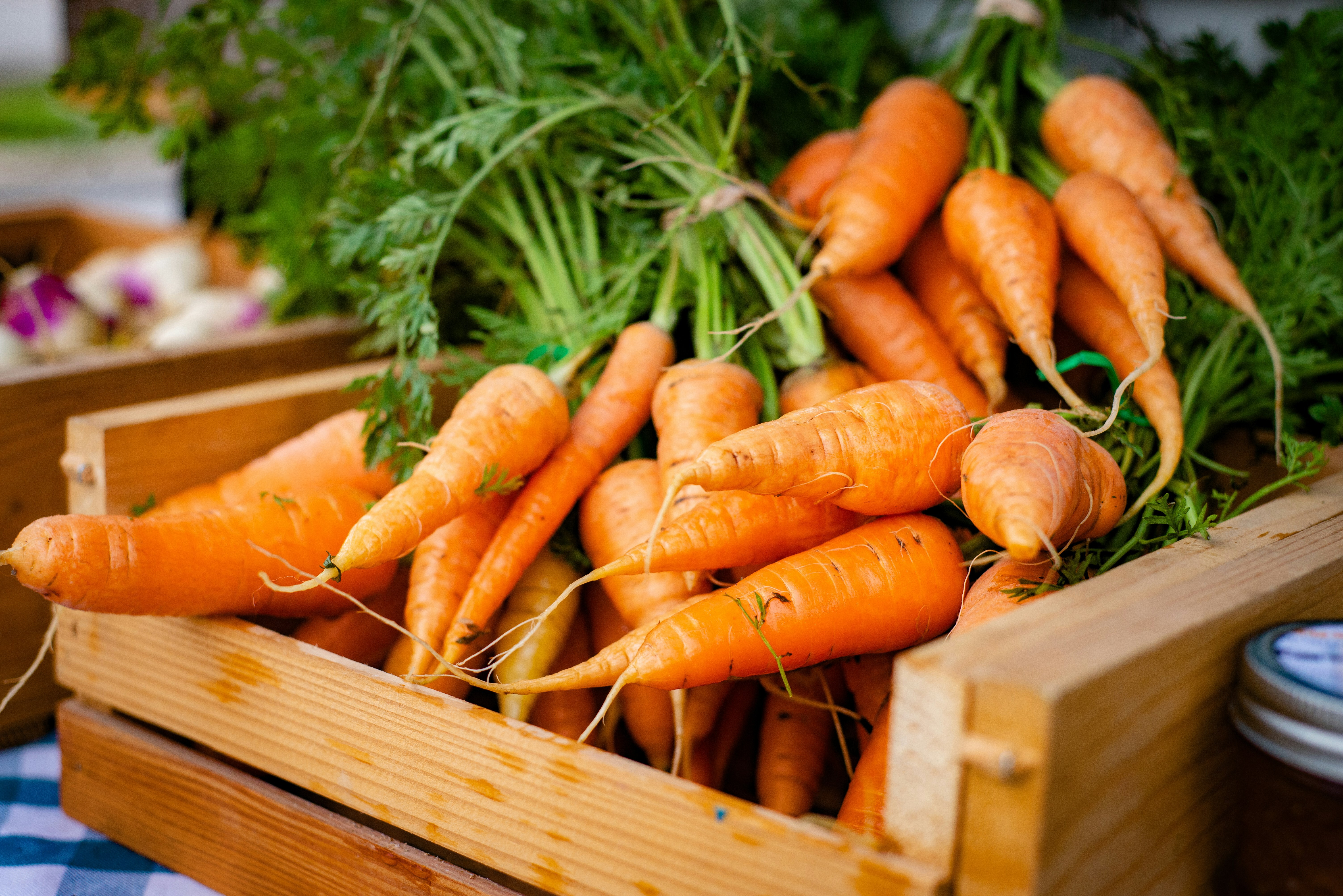 Raw carrots