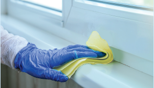 Cleaning glves