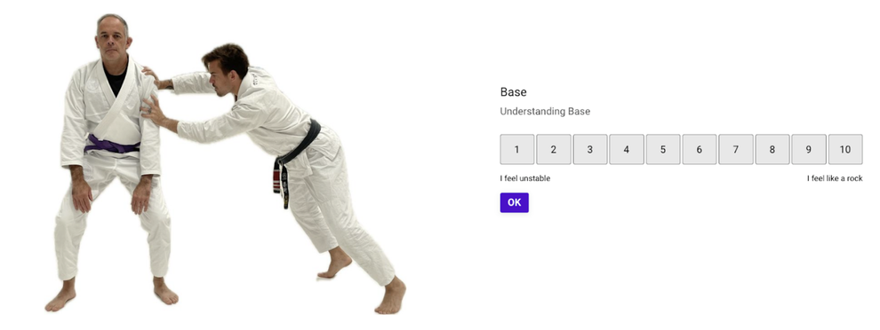 BJJ Journey Score