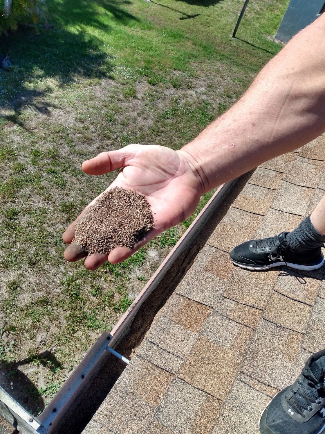 Close-up of roof granule loss held in a hand